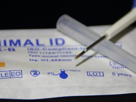 ISO 11784/11785 FDX-B  (1,4 х 8 мм.) в одноразовой игле
